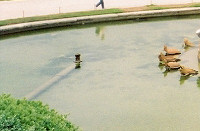 The Fountain of Latona at Versailles