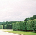 Versailles - The Grand Canal
