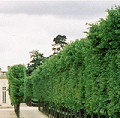 Versailles - The Petit Trianon