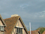 Shakespeare's Birthplace