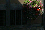 Hall's Croft