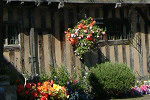 Hall's Croft