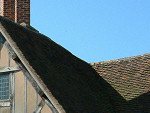 Hall's Croft