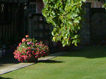 Hall's Croft