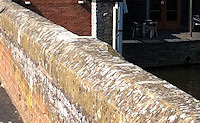 Cox's Yard