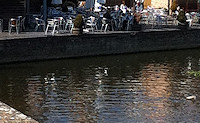 Cox's Yard