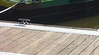 The Basin