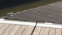 The Basin